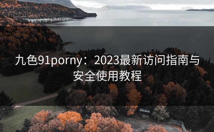 九色91porny：2023最新访问指南与安全使用教程