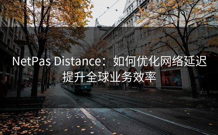 NetPas Distance：如何优化网络延迟提升全球业务效率