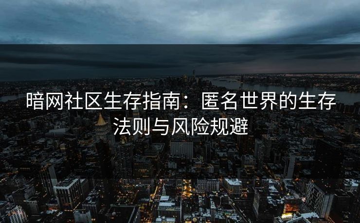 暗网社区生存指南：匿名世界的生存法则与风险规避